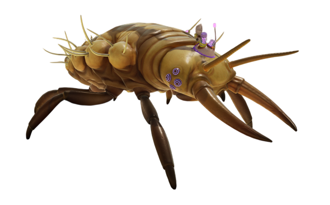 O.R.C. Larva